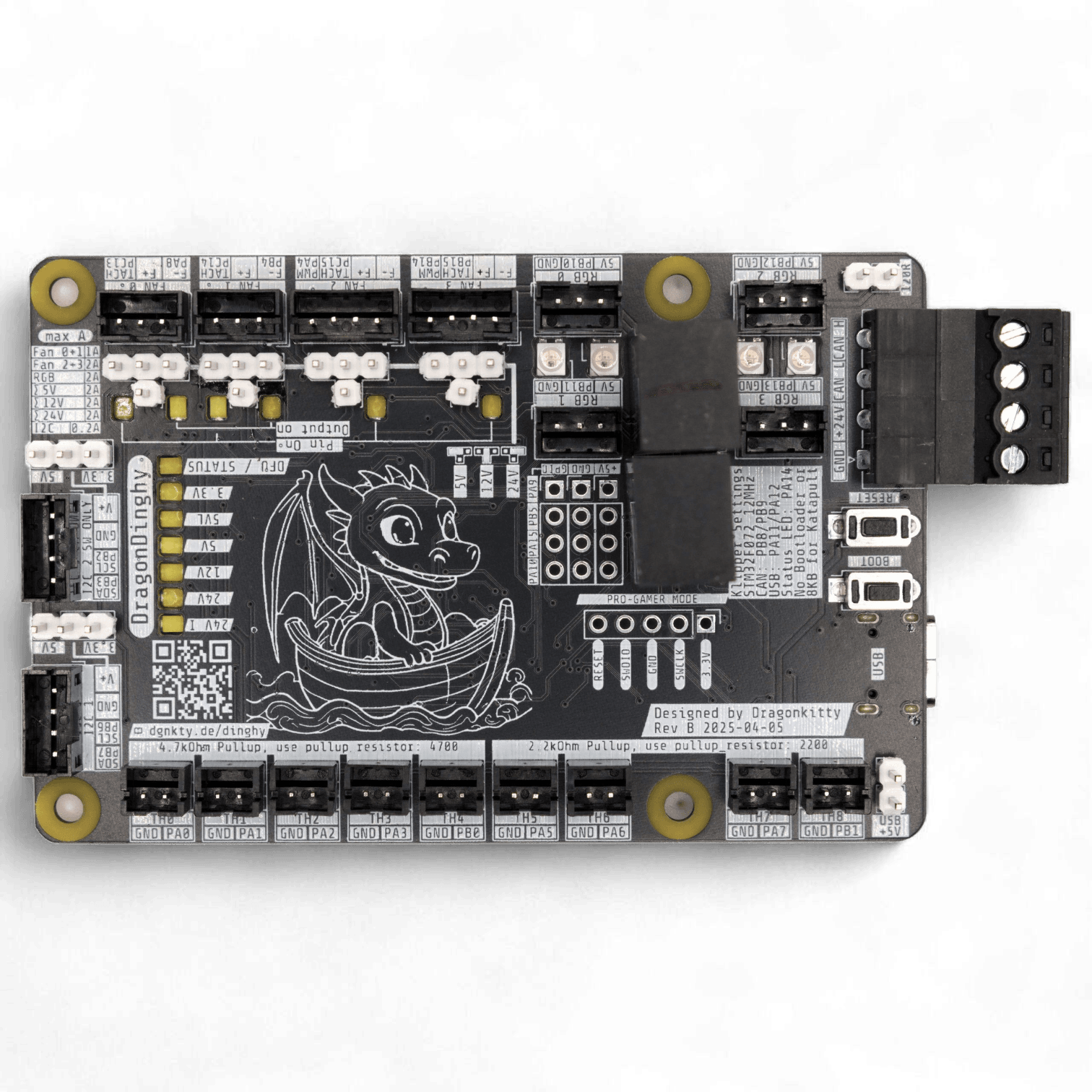 Dragon Dinghy Board Front