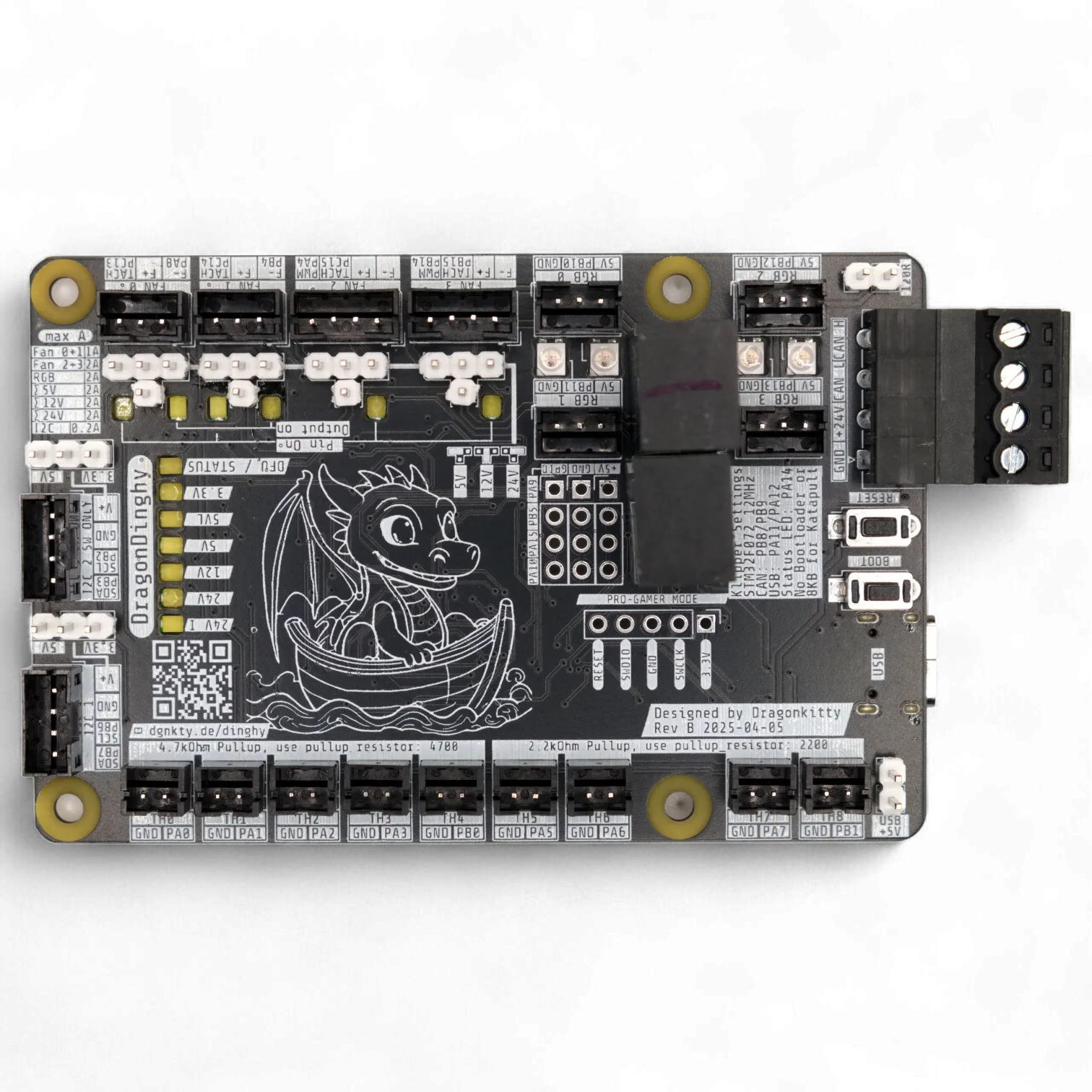 Dragon Dinghy Board Front